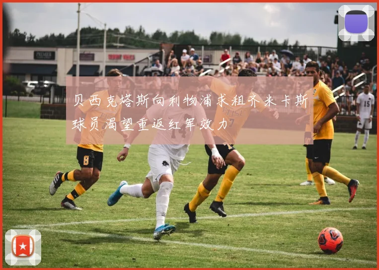 贝西克塔斯向利物浦求租齐米卡斯球员渴望重返红军效力